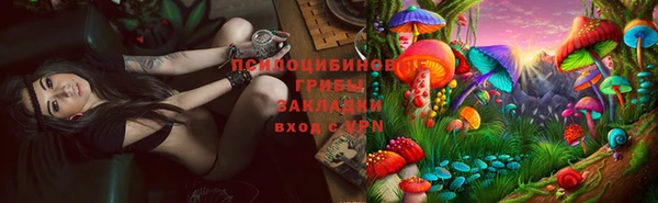 прущая мука Арсеньев