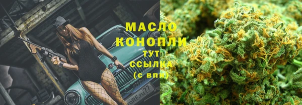 прущая мука Арсеньев