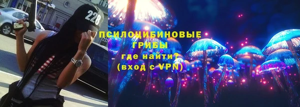 прущая мука Арсеньев