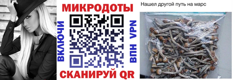 гидра как зайти  Ухта  Галлюциногенные грибы GOLDEN TEACHER 